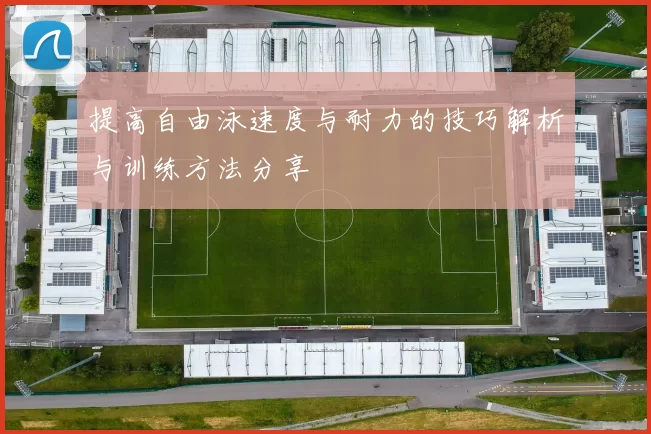 提高自由泳速度与耐力的技巧解析与训练方法分享