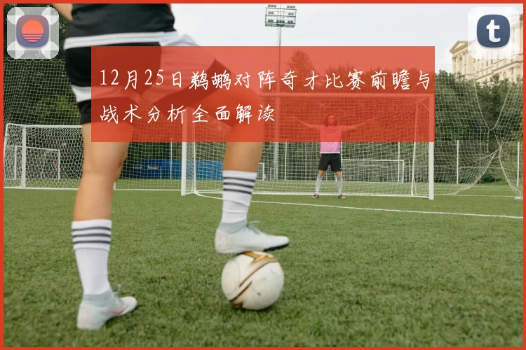 12月25日鹈鹕对阵奇才比赛前瞻与战术分析全面解读