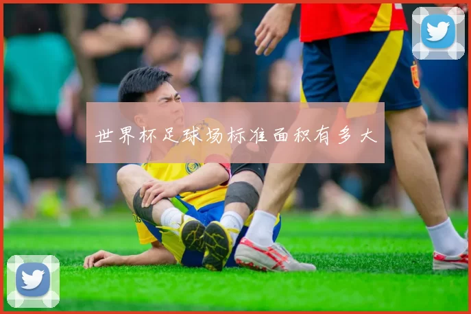 世界杯足球场标准面积有多大