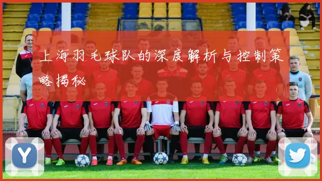 上海羽毛球队的深度解析与控制策略揭秘