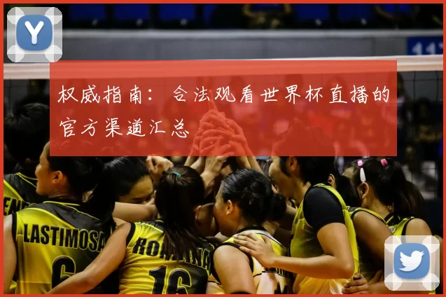权威指南：合法观看世界杯直播的官方渠道汇总