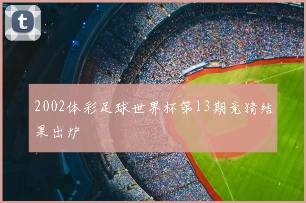 2002体彩足球世界杯第13期竞猜结果出炉