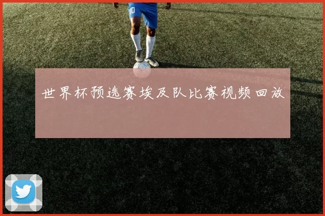 世界杯预选赛埃及队比赛视频回放