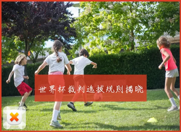 世界杯裁判选拔规则揭晓