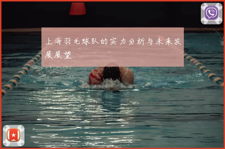 上海羽毛球队的实力分析与未来发展展望