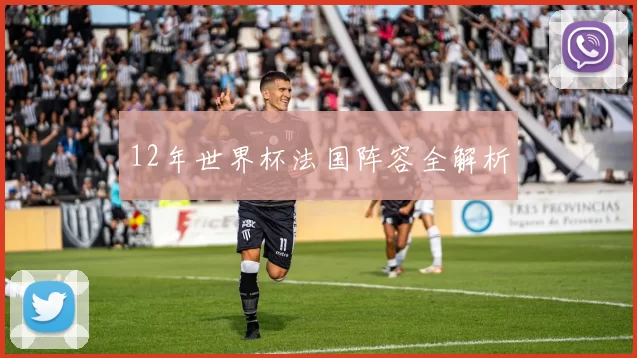 12年世界杯法国阵容全解析