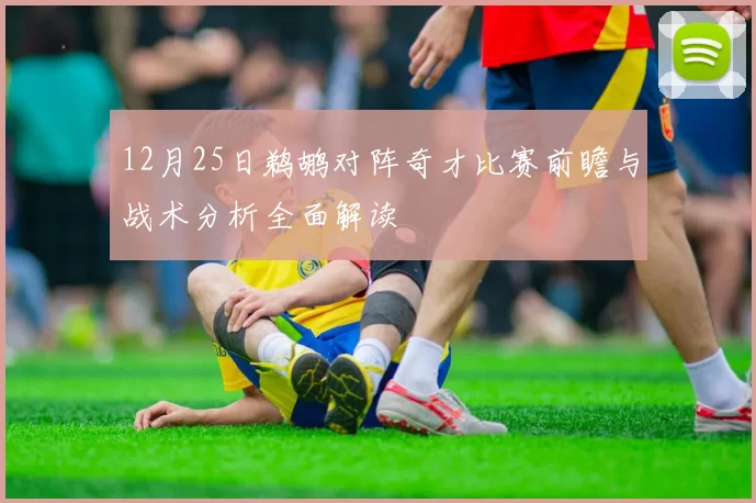 12月25日鹈鹕对阵奇才比赛前瞻与战术分析全面解读