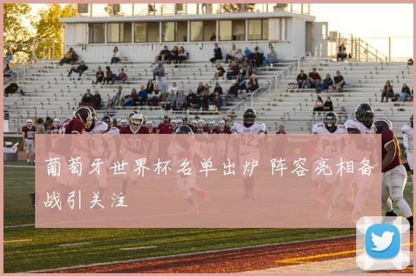 葡萄牙世界杯名单出炉 阵容亮相备战引关注