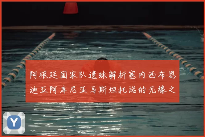 阿根廷国家队遗珠解析塞内西布恩迪亚阿库尼亚马斯坦托诺的无缘之路