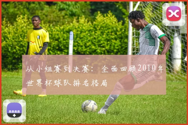 从小组赛到决赛：全面回顾2010年世界杯球队排名格局